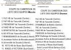 LIGUE NATIONALE D’ÉLITE DU CAMEROUN : UN MODÈLE D'ORGANISATION !