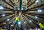 Basketball : Les Lionnes du Sénégal renforcent leur effectif avant le tournoi préolympique des JO 2028 !