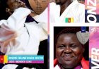 Jeux du Commonwealth 2026 : Les judokas camerounais font sensation avec trois médailles !