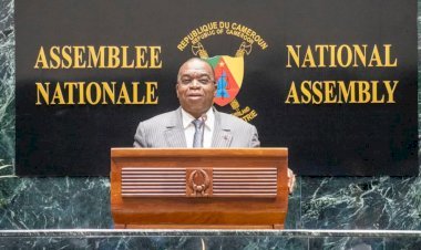 Finance : Le gouvernement camerounais adopte le projet de loi de réglement 2024!