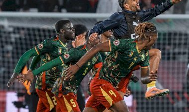 Classement FIFA : Le Cameroun sort de l'ombre et gagne 12 places au ranking !