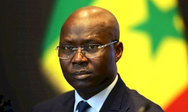 Sénégal: Abdoulaye Fall vide son sac… Et expose le staff des Lions en pleine tempête !