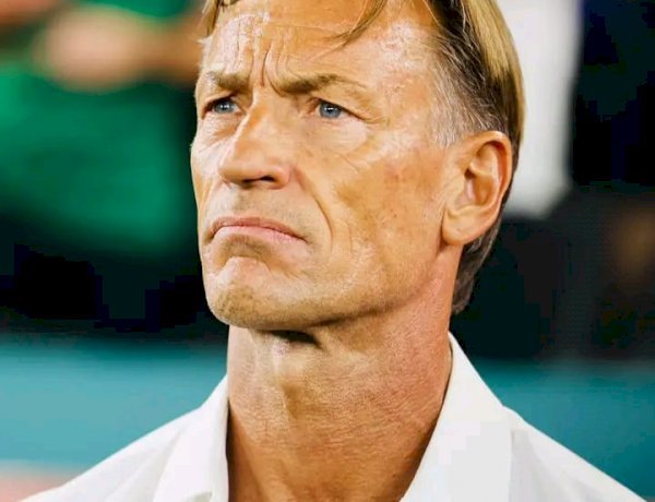 Côte d'Ivoire : Hervé Renard de retour sur le banc des Éléphants !