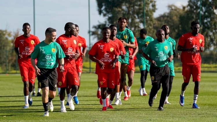 Football : Paolo Duarte lance son chantier avec le Syli National au Maroc !