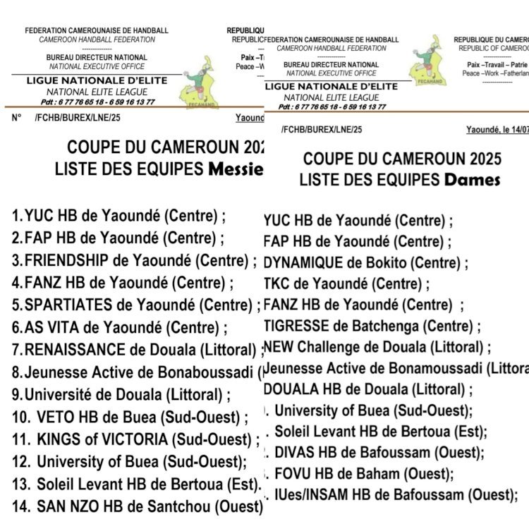 LIGUE NATIONALE D’ÉLITE DU CAMEROUN : UN MODÈLE D'ORGANISATION !