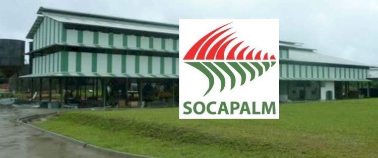 LA SOCAPALM ANNONCE LE VERSEMENT DE 1,7 MILLIARD DE FCFA DE DIVIDENDES AUX ACTIONNAIRES POUR L'EXERCICE 2024!