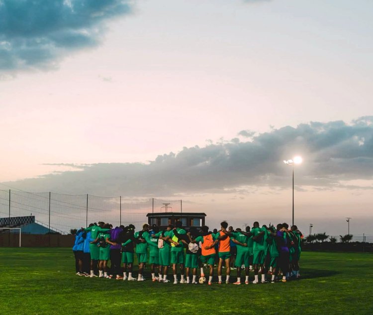 CAN TotalEnergies 2025 : les Panthères au complet, le match amical annulé!