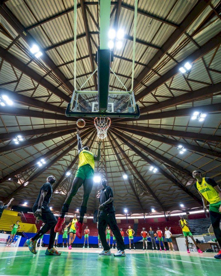 Basketball : Les Lionnes du Sénégal renforcent leur effectif avant le tournoi préolympique des JO 2028 !